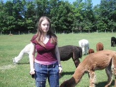 Rebecca with the alpacas